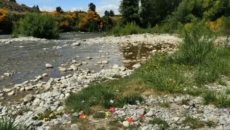 New-Zealand-River-With-Fake-Flowers-On-Stony-Bank