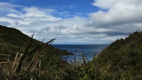 New-Zealand-View-Of-Bay-From-Nugget-Point-Road