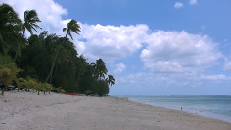 Aitutaki-Beach-With-Heron