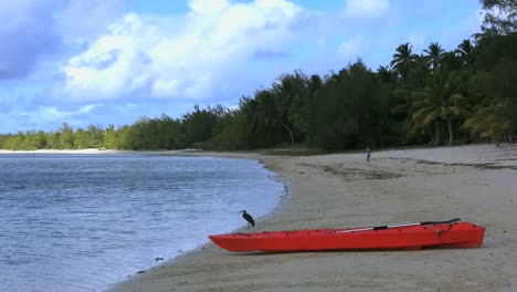 Aitutaki-Bird-And-Boat-On-Beach