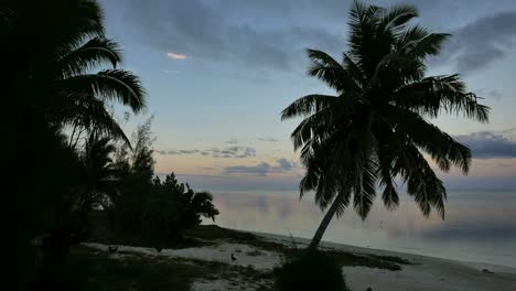 Aitutaki-Early-Morning-With-Chickens-On-Beach