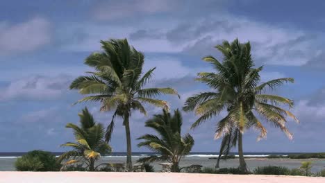 Aitutaki-Palmen-Und-Himmel