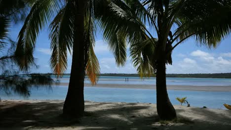 Aitutaki-Palms-By-Lagoon-With-Couple-Walking-On-Sand-Bar