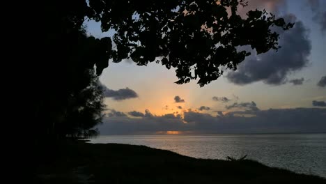 Aitutaki-Sunset-Framed-With-Leaves