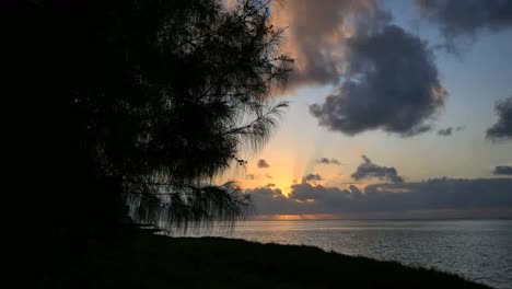 Aitutaki-Sunset-With-Cloud,-Shore-Pine-And-Lagoon