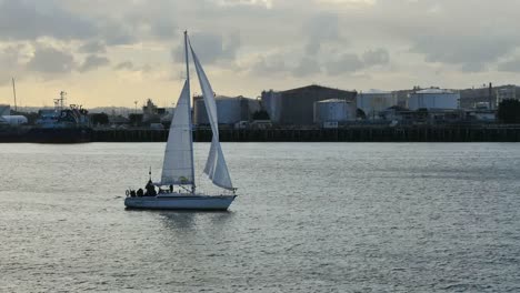 New-Zealand-Auckland-Bay-Sailboat-Sailing