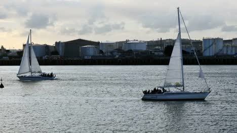 New-Zealand-Auckland-Bay-Sailboats-Passing