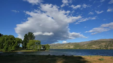 New-Zealand-Cloud-And-Willows-By-Lake-Dunstan