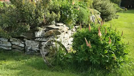 New-Zealand-Garden-With-Rock-Wall