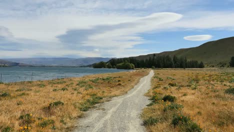 Nueva-Zelanda-Camino-Y-Amapolas-Por-El-Lago-Dunstan