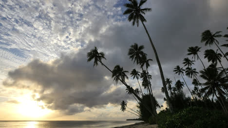 Rarotonga-Sonnenuntergang-Palmen-Reichen-Bis-Zu-Den-Wolken