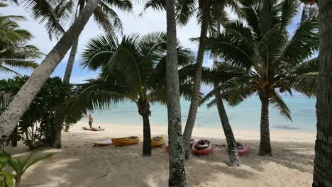 Rarotonga-Palms-And-Kayaks-On-Beach