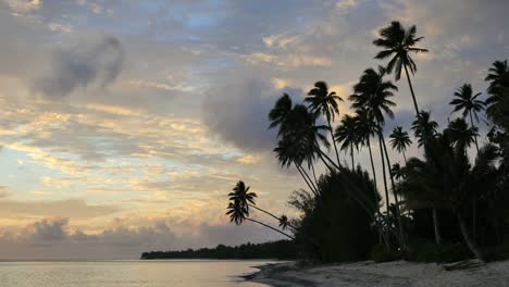 Rarotonga-Sunset-With-Evening-Palms