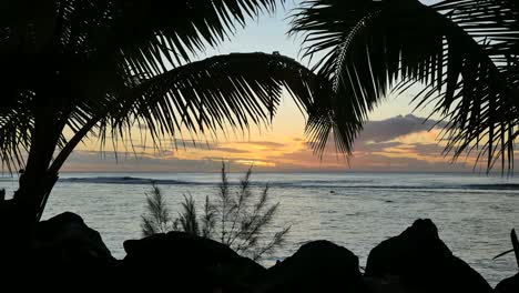 Rarotonga-Sonnenuntergang-Mit-Palmen-Und-Felsen