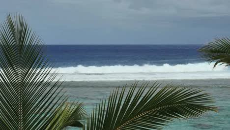Rarotonga-Waves-On-Reef-With-Palm-Fronds