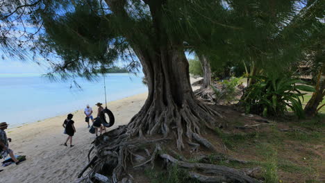 Rarotongo-Bäume-Mit-Touristen-Am-Strand-Von-Muri