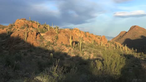 Arizona-Tucson-Mountain-Zoom-In-Ansicht