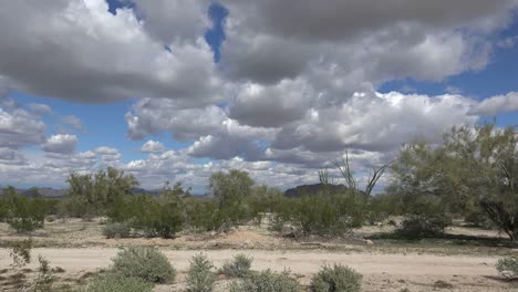 Arizona-Wolken-über-Wüstensträuchern