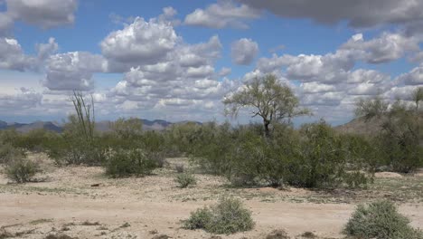 Arizona-Landschaft-Sträucher-Und-Nackter-Boden