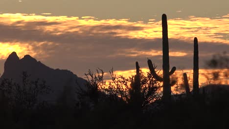 Arizona-Mountain-Sunset-Pan