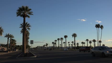 Arizona-Palms-By-Road-With-Cars-Going-By