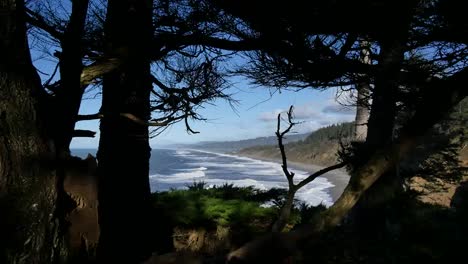 California-Agate-Beach-Through-Trees