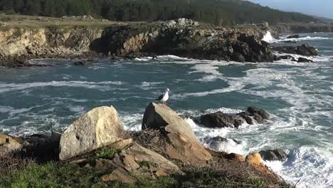 California-Gerstle-Cove-Waves-And-View-Salt-Point-Short-But-Good-Zoom-In
