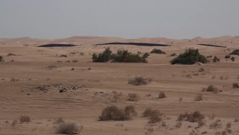 Dunas-Imperiales-De-California-Cerca-De-La-Frontera