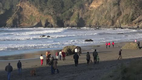 California-Trinidad-People-And-Dogs-On-The-Town-Beach-Pan