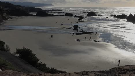 Oregon-Seal-Rocks-Strand-Mit-Hintergrundbeleuchtung