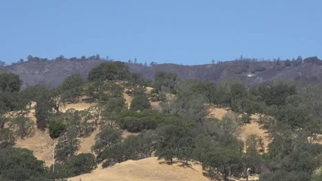 California-Burned-Area-Beyond-Oak-Savanna