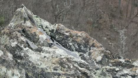 Felsen-Mit-Flechten-Hält-Wasser