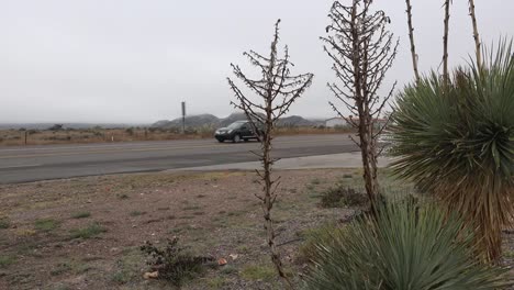 Texas-Alpine-Icy-Yucca-And-Road