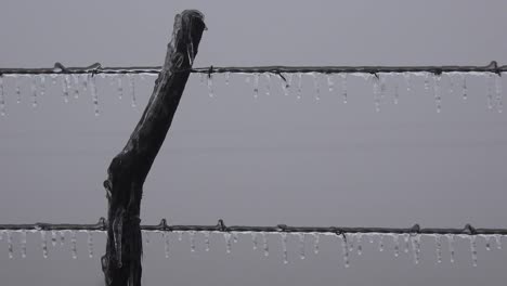 Texas-Icicles-On-Fence
