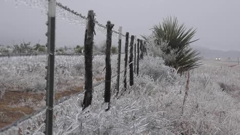 Texas-Icy-Fence-With-Car-In-Background