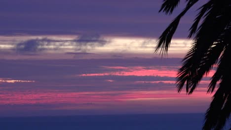 Chile-Sonnenuntergang-Mit-Palmenpfanne