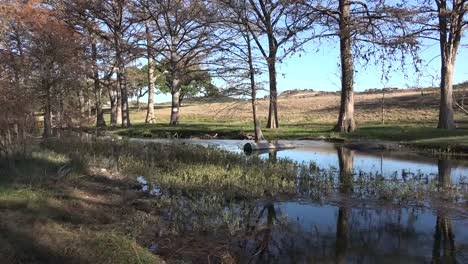 Texas-Hill-Country-Stream-View
