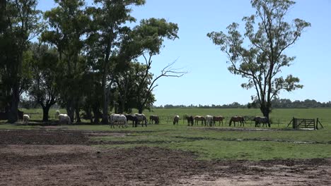 Argentina-Estancia-Vista