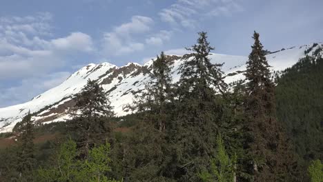 Alaska-Alyeska-Montaña-Y-árboles-De-Hoja-Perenne