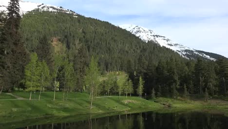 Alaska-Alyeska-Pond-And-Forested-Mountain