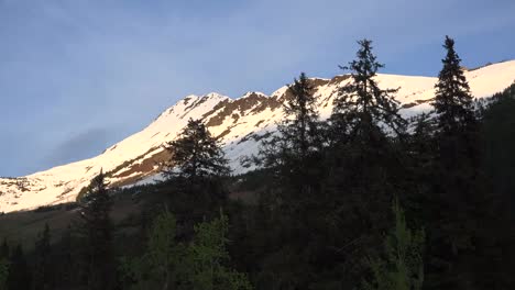 Alaska-Alyeska-Bäume-Und-Schneebedeckte-Berge-Zoomen-Mountain