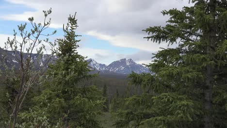 Alaska-Denali-Park-Berg-Und-Bäume