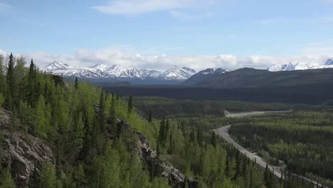 Alaska-Denali-Park-Vista-Del-Valle-Acercar