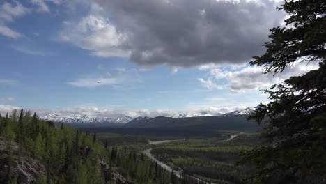 Alaska-Denali-Park-View-With-Bird