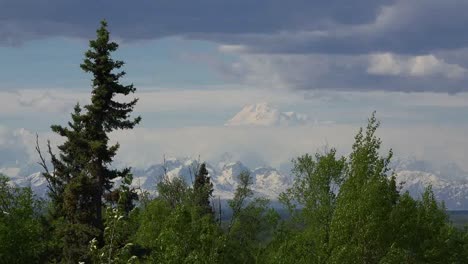 Alaska-Mount-Denali-Framed-By-Trees