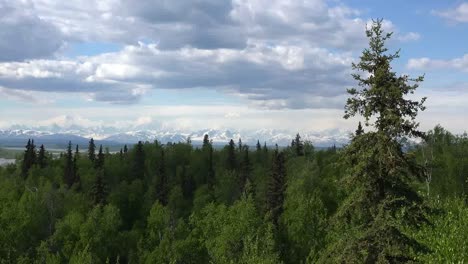 Alaska-Mount-Denali-Se-Acerca-Al-árbol-Pasado