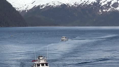 Alaska-weißere-Boote,-Die-In-Einer-Reihe-Ankommen,-Neigen-Nach-Unten