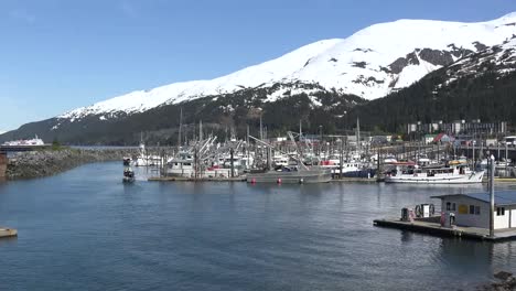 Alaska-Weißer-Hafen-Zoom