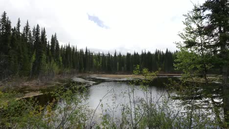 Estanque-De-Castores-De-Alaska