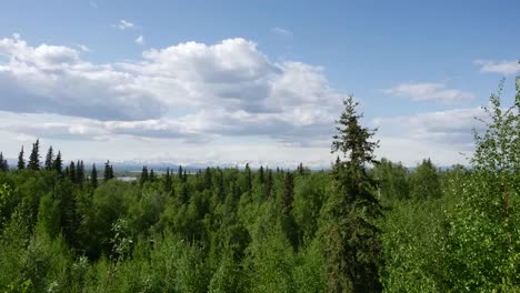 Bosque-Boreal-De-Alaska-Y-Nubes